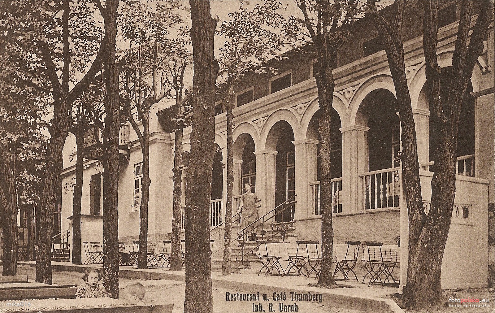 Elblag Restauracja Thumberg