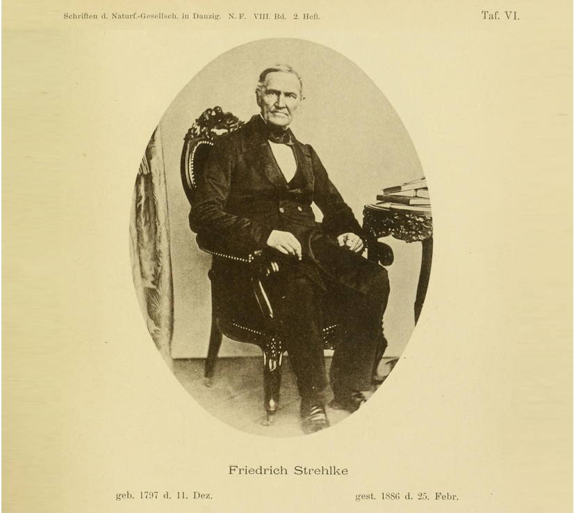 Zaznaczenie 412ksms